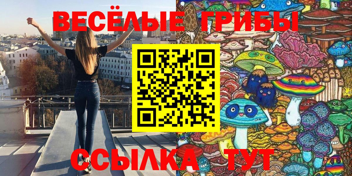 Псилоцибиновые грибы Psilocybine cubensis Домодедово