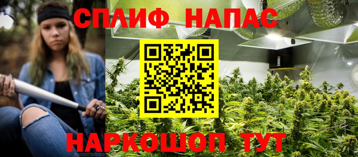 Марихуана тримм Домодедово